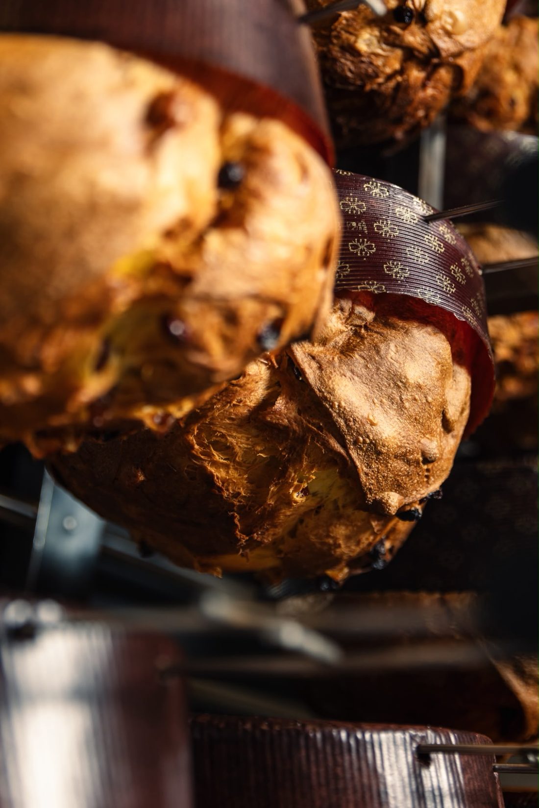 Panettoni appena sfornati